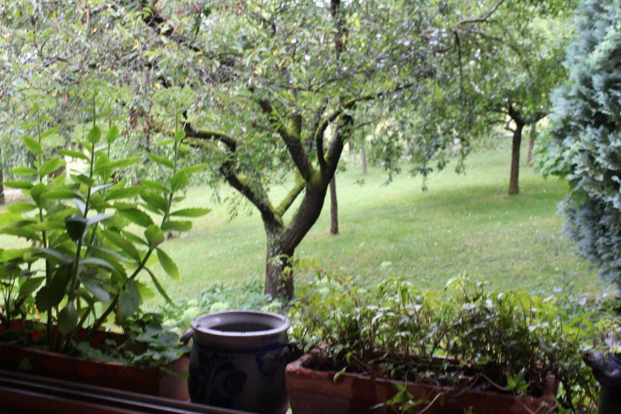 부스윌레 Dans Le Jardin De Marie B&B 외부 사진